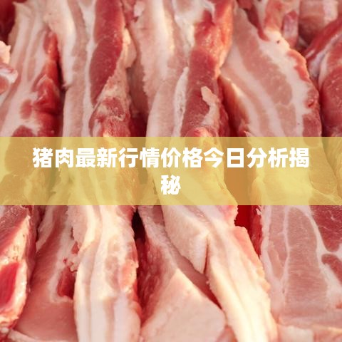 猪肉最新行情价格今日分析揭秘