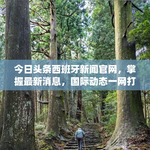 今日头条西班牙新闻官网，掌握最新消息，国际动态一网打尽