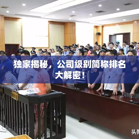 独家揭秘，公司级别简称排名大解密！