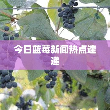 鸟云之阵 第2页