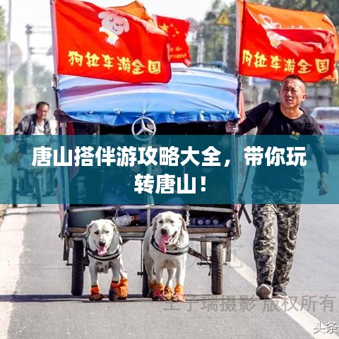 唐山搭伴游攻略大全，带你玩转唐山！