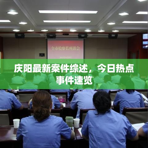 庆阳最新案件综述，今日热点事件速览