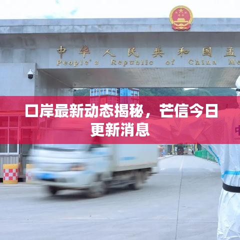 口岸最新动态揭秘，芒信今日更新消息