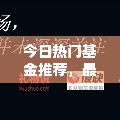 今日热门基金推荐，最新动态助你轻松投资入手