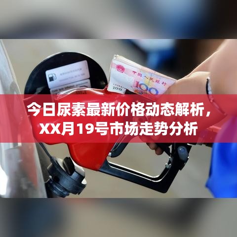 今日尿素最新价格动态解析，XX月19号市场走势分析
