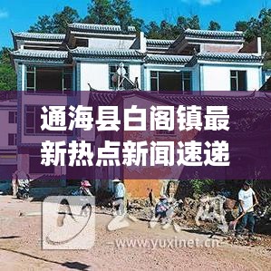 通海县白阁镇最新热点新闻速递