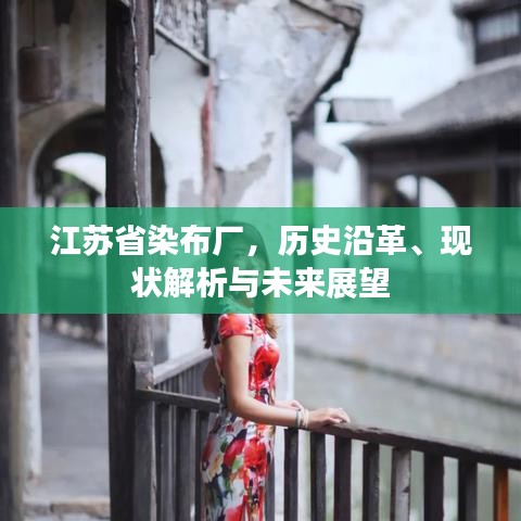 江苏省染布厂，历史沿革、现状解析与未来展望