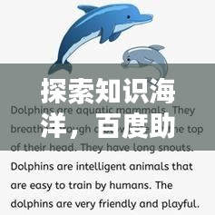 探索知识海洋，百度助力英文信息查询