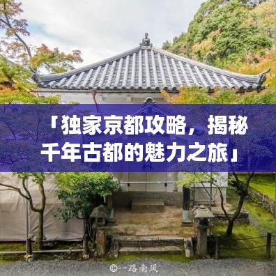 「独家京都攻略，揭秘千年古都的魅力之旅」