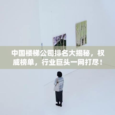 中国楼梯公司排名大揭秘，权威榜单，行业巨头一网打尽！