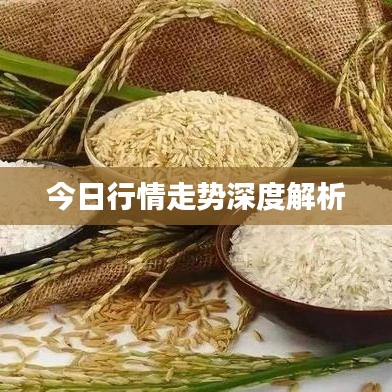 全始全终 第2页