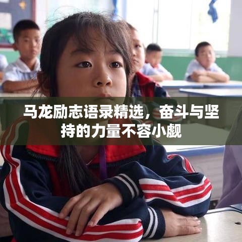 马龙励志语录精选，奋斗与坚持的力量不容小觑