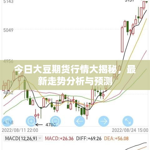 今日大豆期货行情大揭秘，最新走势分析与预测