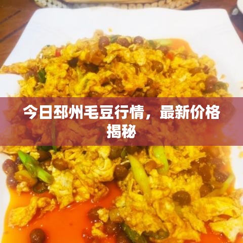 今日邳州毛豆行情，最新价格揭秘