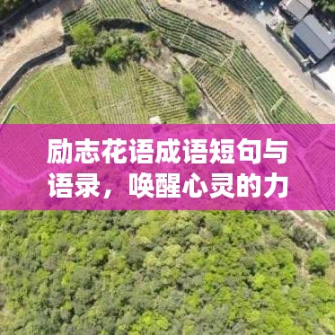 独一无二 第2页