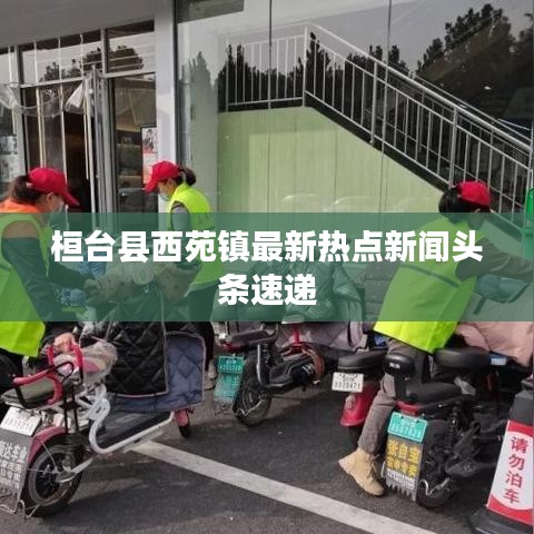 桓台县西苑镇最新热点新闻头条速递