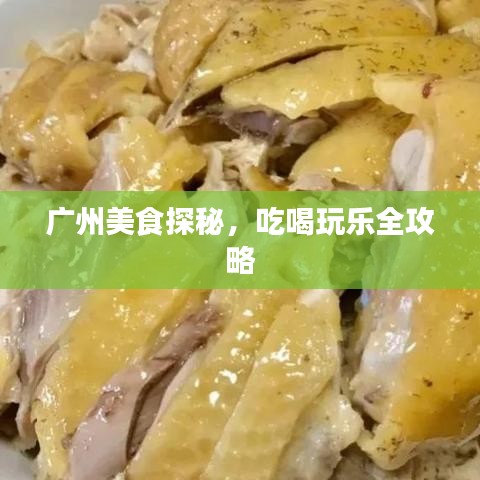 广州美食探秘，吃喝玩乐全攻略