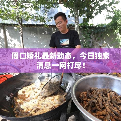 革新变旧 第2页