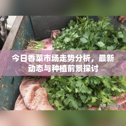 鸢飞鱼跃 第2页