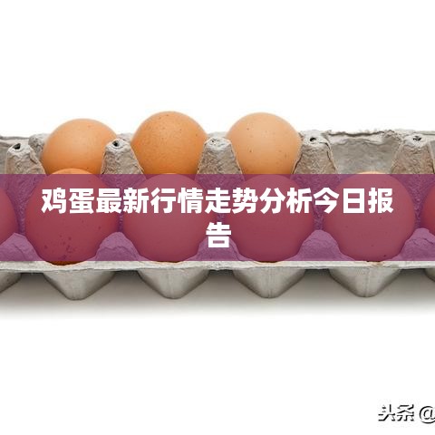 明夷于飞 第2页