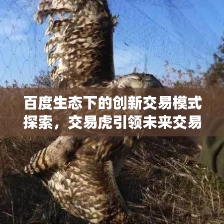 百度生态下的创新交易模式探索，交易虎引领未来交易潮流