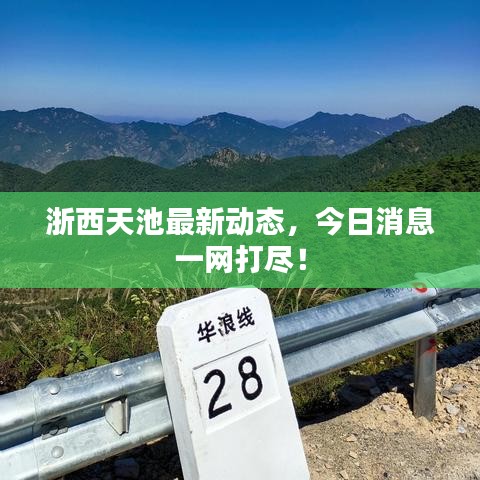 浙西天池最新动态，今日消息一网打尽！