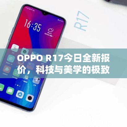 指手画脚 第2页
