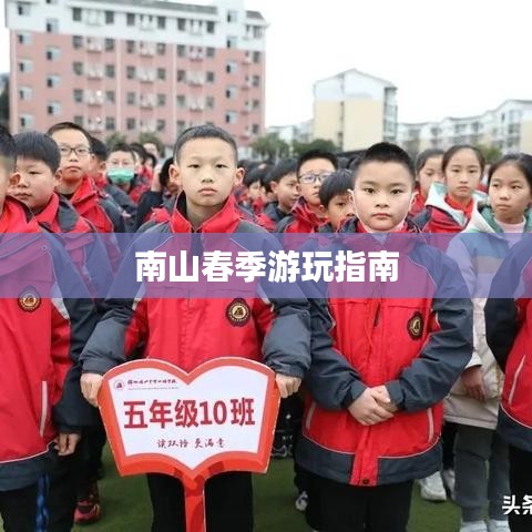 南山春季游玩指南