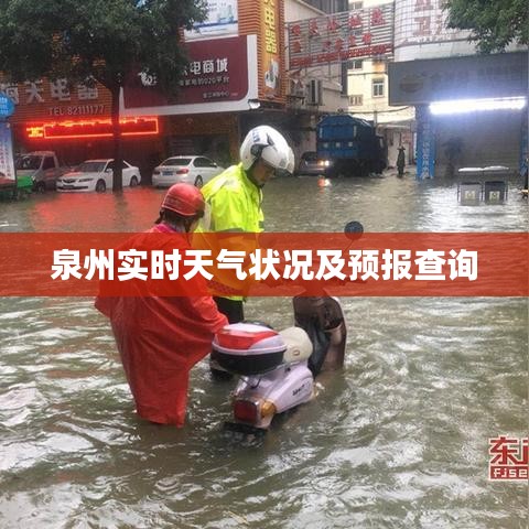 泉州实时天气状况及预报查询