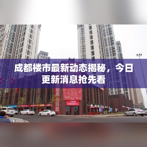 成都楼市最新动态揭秘，今日更新消息抢先看