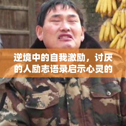 逆境中的自我激励，讨厌的人励志语录启示心灵的力量