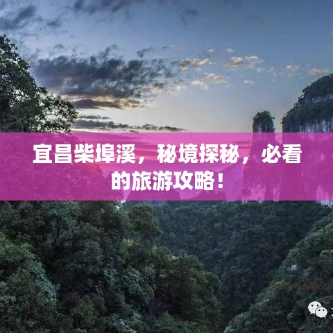 荡然无存 第2页