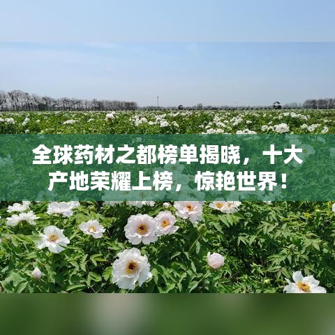 全球药材之都榜单揭晓，十大产地荣耀上榜，惊艳世界！