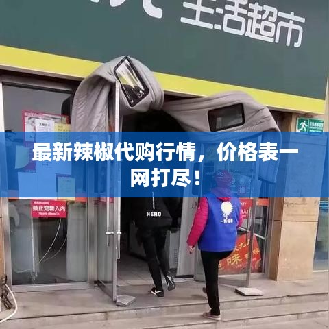 最新辣椒代购行情，价格表一网打尽！