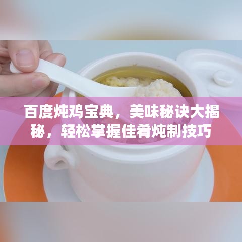 百度炖鸡宝典，美味秘诀大揭秘，轻松掌握佳肴炖制技巧