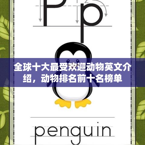 全球十大最受欢迎动物英文介绍，动物排名前十名榜单