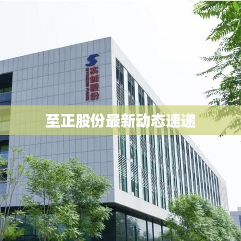 至正股份最新动态速递