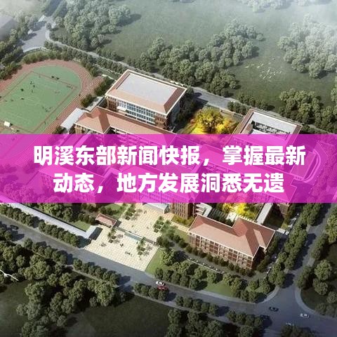 还淳反朴 第2页
