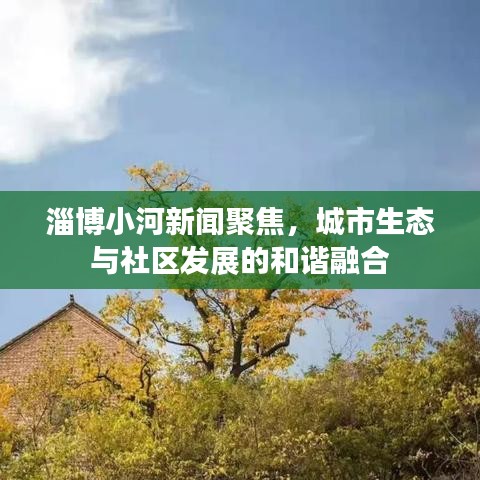 淄博小河新闻聚焦，城市生态与社区发展的和谐融合