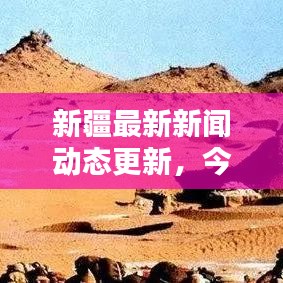 新疆最新新闻动态更新，今日焦点资讯汇总