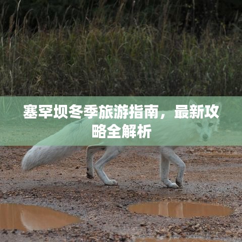 还朴反古 第2页