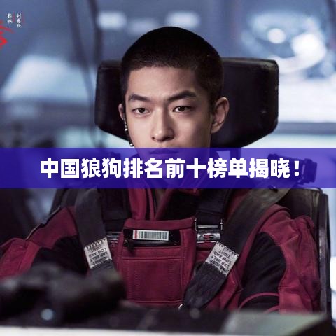 中国狼狗排名前十榜单揭晓！