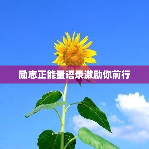 励志正能量语录激励你前行