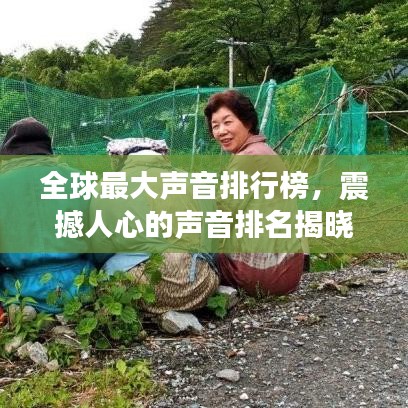 全球最大声音排行榜，震撼人心的声音排名揭晓！