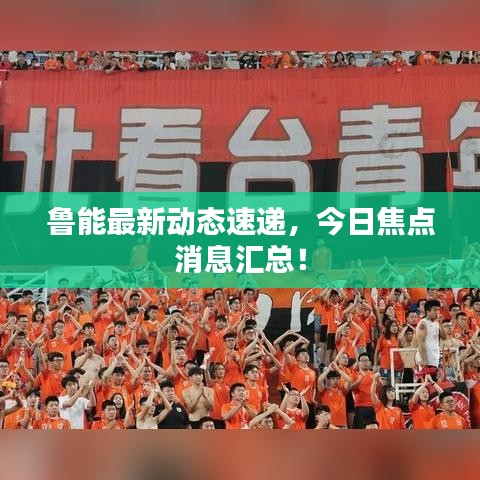 鲁能最新动态速递，今日焦点消息汇总！