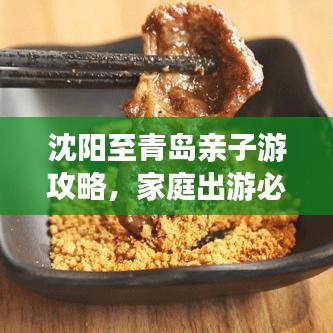 沈阳至青岛亲子游攻略，家庭出游必备指南