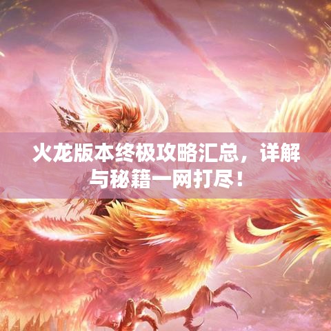 火龙版本终极攻略汇总，详解与秘籍一网打尽！