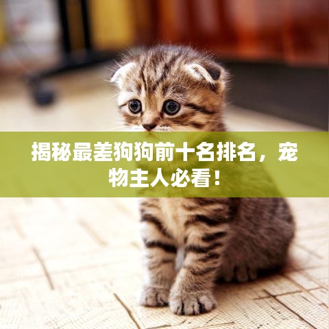 揭秘最差狗狗前十名排名，宠物主人必看！
