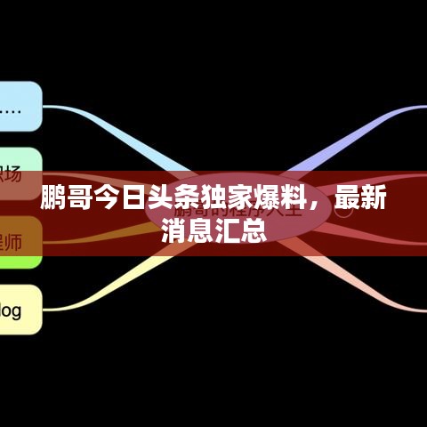鹏哥今日头条独家爆料，最新消息汇总