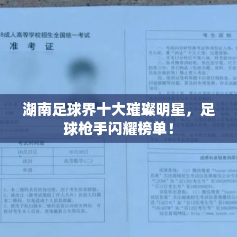 湖南足球界十大璀璨明星，足球枪手闪耀榜单！